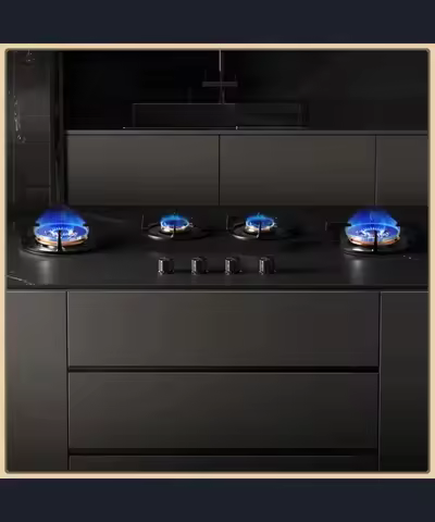 Hidden Built-in 4-Burner Gas Stove - Home Appliance Fits Quartz Countertops
