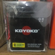 koyoko 6N4BS cell battery