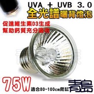 Y。。。青島水族。。。F-350-75迷你全光譜爬蟲燈泡UVA+UVB3.0曬背燈泡 兩棲 陸龜 保暖聚熱燈==75W