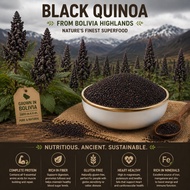 500g | 1kg PREMIUM BOLIVIA BLACK QUINOA