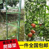 K-Y/ Tomato Cucumber Lattice Flower Stand Chinese Rose Flower Stand Gardening Tomato Support Rod Plant Climbing Frame Fr