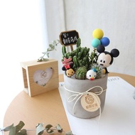 PD154卡通公仔多肉仙人掌盆栽