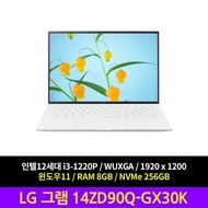 LG Electronics Gram 14ZD90Q-GX30K Windows 11 RAM 8GB NVMe 256GB laptop