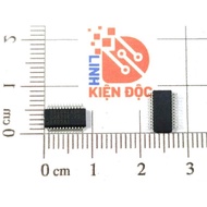 [Combo of 2] SSI091ASN SS1091ASN functional IC SOP-24