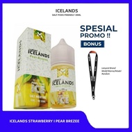 LIQUID ICELAND SALTNIC AUTHENTIC 30ML BY MOVE FREE LANYARD ERISE