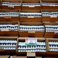 Mcb C60H - Dc 2P 20A / 16A / 10A / 6A - C60H - Dc Schneider Original