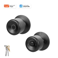 Tuya Smart Door Lock Fingerprint /APP/ Key 3-in-1 Unlock No Need To Drill Electronic Lock Tuya APP S