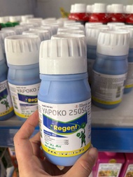 Thuốc trừ sâu REGENT YAPOKO 250SC hoạt chất Lambda cyhathlorin Thiamethoxiam Đặc Trị Các Loại Rầy 2