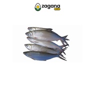 ◐℗✿Zagana Farm Fresh Bangus 500G