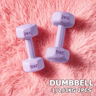 Hex Dumbbell Set Workout Equipment Pair 1KG to 3KG Lady Dumbbell Muscle Fitness Exercise