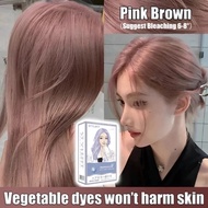 STYLEFIT Hair Color Pink Brown Hair Color【100ml Hair Dye+100ml Oxidant】Hair Color Dye Permanent