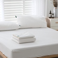 好關係 HAOKUANXI | 防水防螨床包式保潔墊