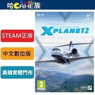 [哈Game族]STEAM正版 PC X-Plane 12 專業飛行模擬12 中文數位版 線上遊戲 提供真實的物理引擎