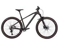 SEPEDA GUNUNG MTB 29 PATROL C092 CARBON M ESPRESSO BEANS