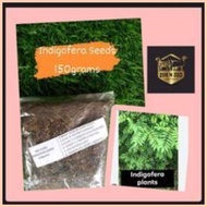 ✆ ♚ ▦ Indigofera seeds 150 grams