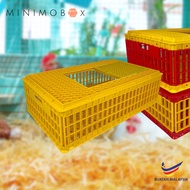 Bakul Ayam Raga Ayam Plastic Transportation Chicken Cage 运输鸡笼 (Standard Size)