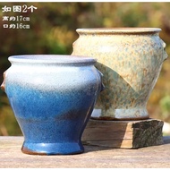 Ready stock ‼️ Ceramic Flower Pot/ Set多肉植物陶瓷绿萝石斛蝴蝶兰复古花盆