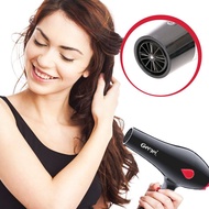 GEMEI GM-1706 PROFESSIONAL HAIR DRYER