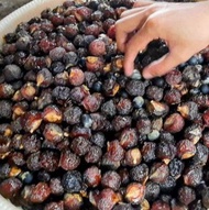 Buah Lerak 1 kg