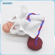 [mojotorw7] 1 to 1 Female Pelvis Model Childbirth Training Tool with Baby Placenta for Medical Educa