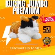 Beautiful cat doll Lying cat Esmeralda XL SNI best seller