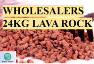 24KG Red Lava RockVolcanic Stone 火山石 3~6mm