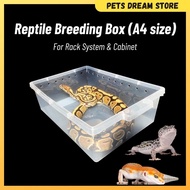 [A6&A4 Size] Reptile Breeding Box Gecko Rack System container box a4 size cabinet box rack gecko dra
