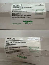 Schneider BF10-010 單相100A 10位 MCB箱