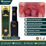 Obat Amandel Untuk Anak Amandel Untuk Orang Dewasa Amandel Biar Kempes Herbal Penghilang Amandel Pal