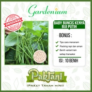 10 Benih Baby Buncis Kenya Biji Putih Buncis Perdu Non Rambat Tanaman Sayur Paktani