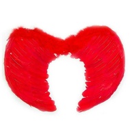 Angel Wings Angel Wings Angel Wings size 45X35 cm