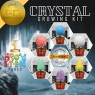Educational Toys Experiment Science Ice Crystal Growing Ice Crystals Science Experiment Kit DIY