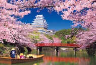 Beverly 1000 Piece Jigsaw Puzzle World Heritage Cherry Blossoms Himeji Castle Japan (49x72cm)