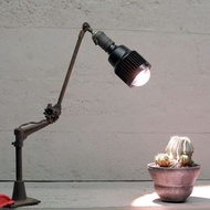 ( 中古 ) 黑色 植物燈 太陽燈 E27 50W LED PLANT GROWTH LIGHT BLACK ( 多肉植物 象牙宮 )