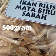 Ikan bilis Mata biru