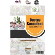 CACTUS SUCCULENTS MIX SOIL