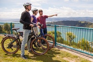 Wellington Electric Bike Half Day Tour