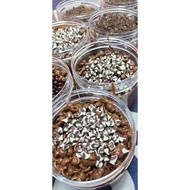 CHOCO GAUL(NFF TASTY BYTES)
