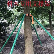 Greening Holder Garden Support Support Frame Galvanized Steel Pipe with Type Tight Support Rod Tree 