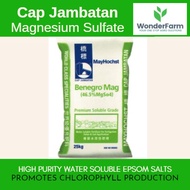 Epsom Salt / Magnesium Sulphate / Magnesium Sulfate Agricultural Grade MGS