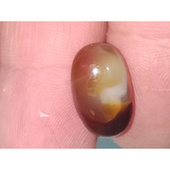 Antique brown chalcedonynatural 16.1x10x6.1mm NTE Rp17,500