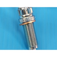 SILZKBR8D8S 12 120 039 664 Spark Plug BMW N20 Engine F10 F30 F31 F32