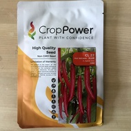 10G Hot Volcano CL 22 F1 Hybrid High Quality Seed