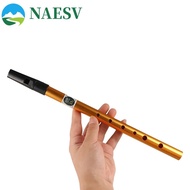 NAESV Irish Whistle Flute, 6 Hole Professional Ireland Flute, Musical Accessories Alloy D Key Musica