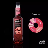 DaVinci Gourmet European Strawberry Syrup (750ml)