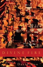 Divine Fire David Woo