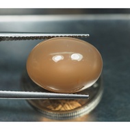 Moonstone Or Mukdahan 9.70 Carat Brown (1336)
