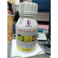 250ML Miflex 5SC  Fipronil 5.0% Racun Anai Anai Termites Semut Termicide (Sama Regent/Fipest/Chalcid