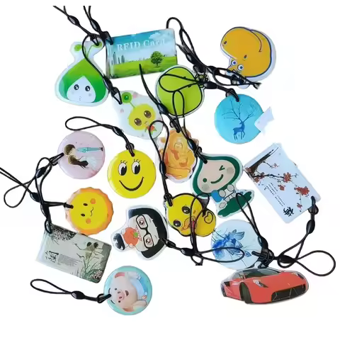 20Pcs Random Pattern 125Khz T5577 EM4305 ID Rewritable RFID Keyfobs KeyChain Blank Data Card Key Fob