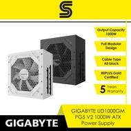 GIGABYTE AORUS ELITE PG5 Series ATX 80 Plus Platinum Power Supply - AE1000PM | AE850PM